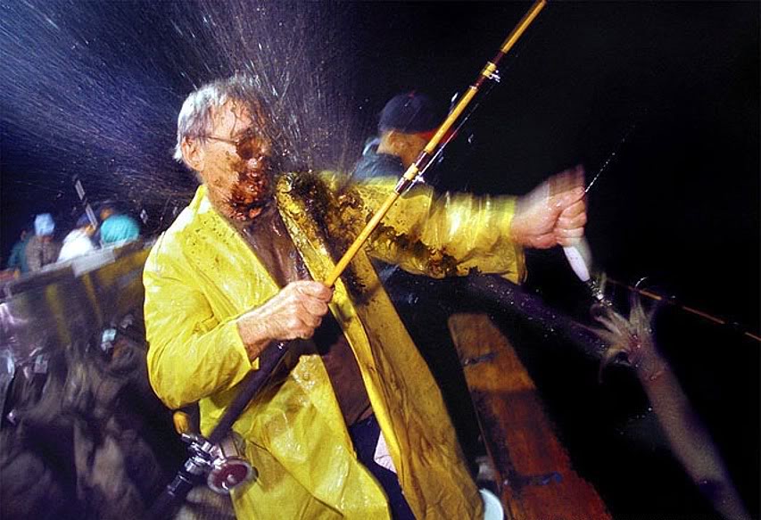 Name:  squid.jpg
Views: 16
Size:  96.2 KB