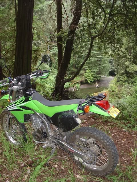 Name:  DSC07638.jpg
Views: 9
Size:  129.8 KB