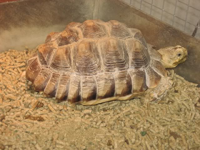 Name:  IMG_0204.jpg
Views: 17
Size:  81.6 KB