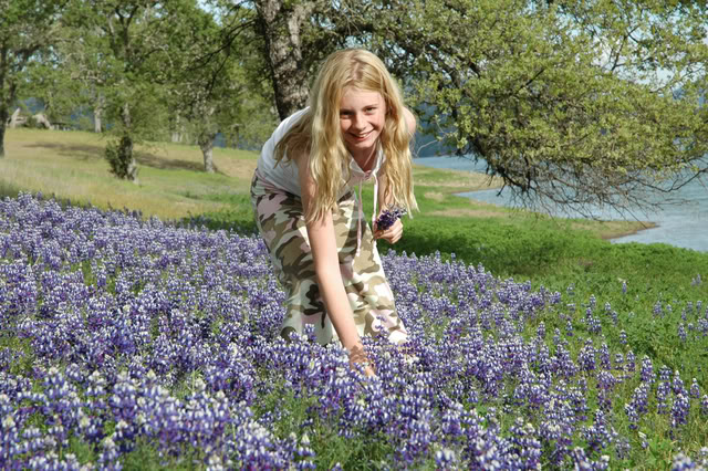 Name:  DSC_0127.jpg
Views: 12
Size:  125.6 KB