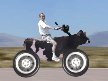 Name:  ATT375008.gif
Views: 19
Size:  142.6 KB