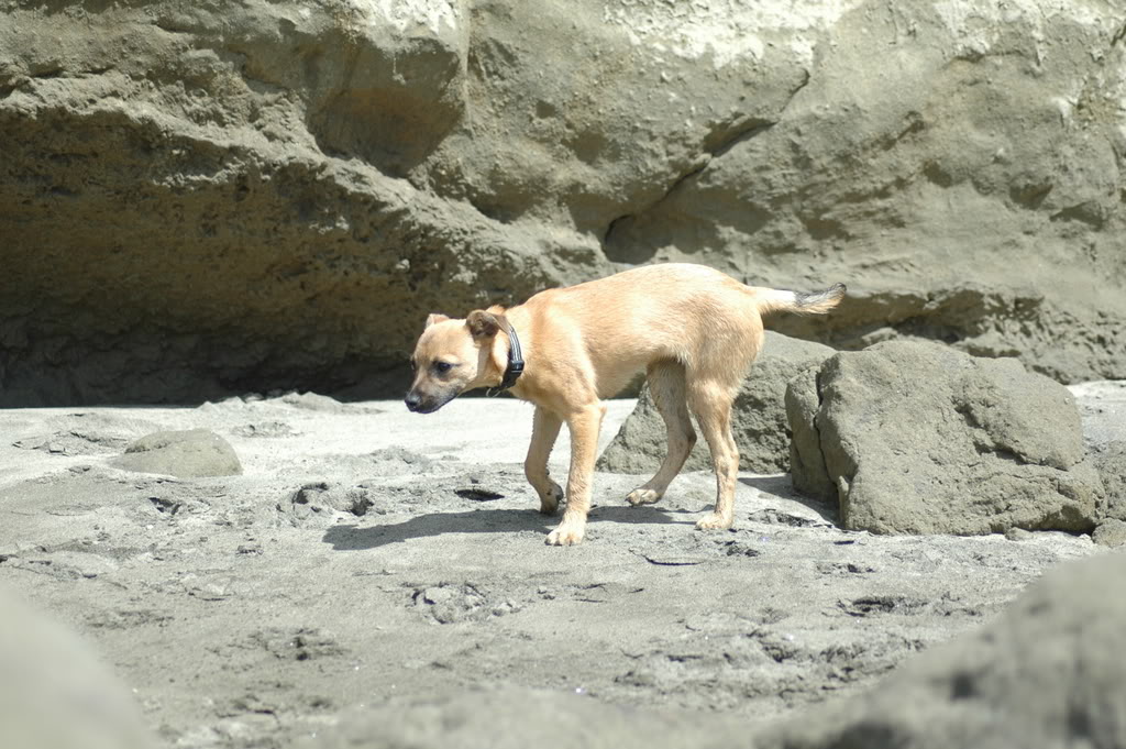 Name:  DSC_0047.jpg
Views: 15
Size:  181.9 KB