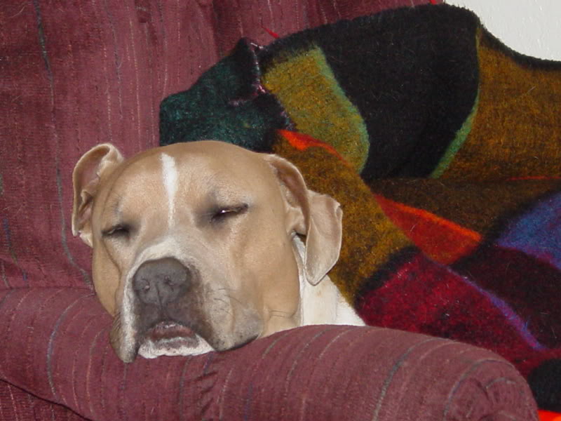 Name:  14Apr07036.jpg
Views: 18
Size:  71.9 KB