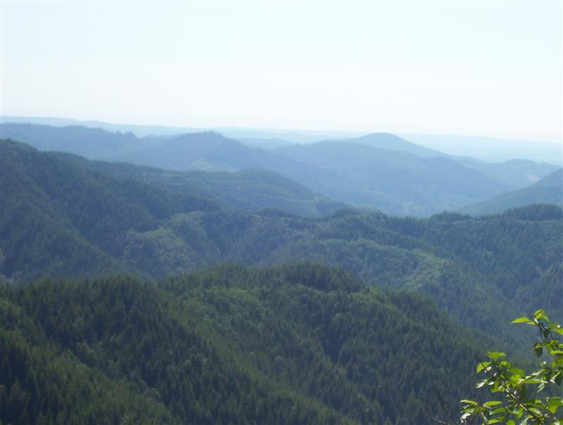 Name:  100_5312Medium.jpg
Views: 17
Size:  35.6 KB