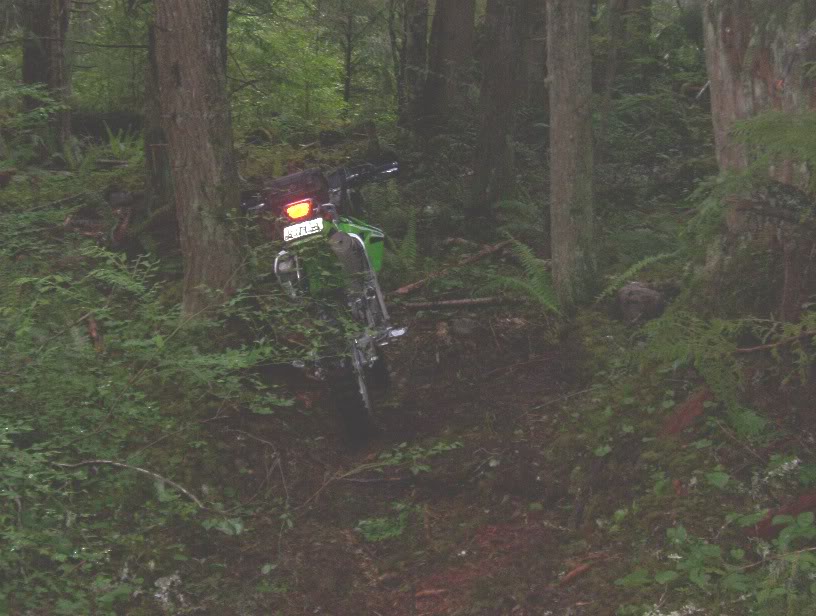 Name:  Trail2.jpg
Views: 16
Size:  88.2 KB