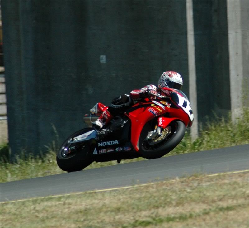 Name:  DSC_0453.jpg
Views: 27
Size:  61.0 KB