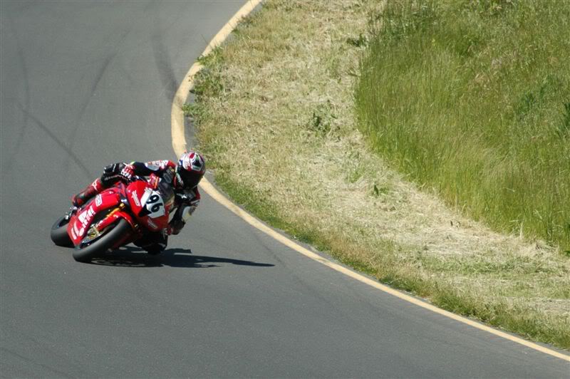 Name:  DSC_0399.jpg
Views: 31
Size:  77.5 KB