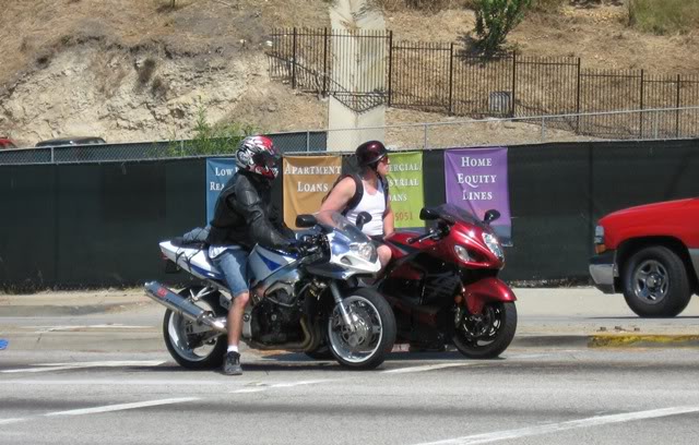 Name:  Squids.jpg
Views: 34
Size:  70.2 KB