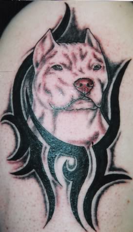 Name: scan0002.jpg
Views: 14
Size: 26.1 KB