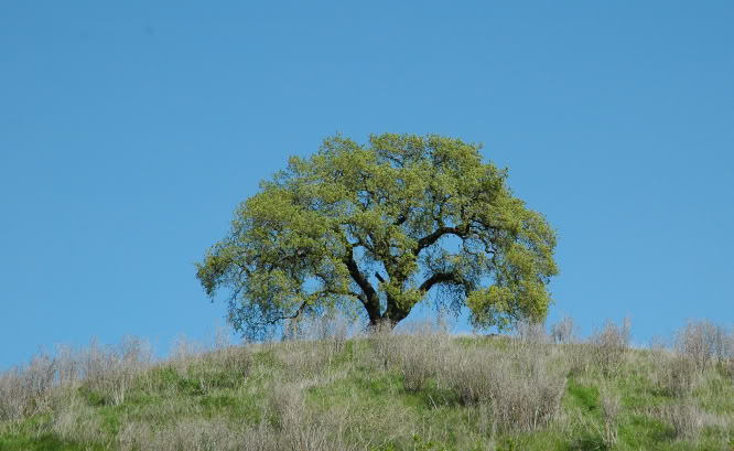 Name:  DSC_0108_edited-2.jpg
Views: 16
Size:  59.6 KB