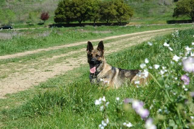 Name:  DSC_0105.jpg
Views: 19
Size:  73.5 KB