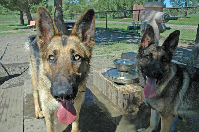 Name:  DSC_0150_edited-1.jpg
Views: 16
Size:  81.3 KB