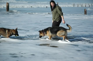 Name:  DSC_0070.jpg
Views: 18
Size:  18.8 KB