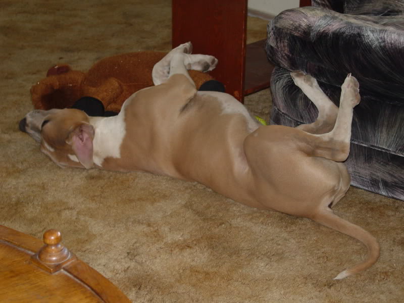 Name:  2Nov05092.jpg
Views: 24
Size:  69.9 KB