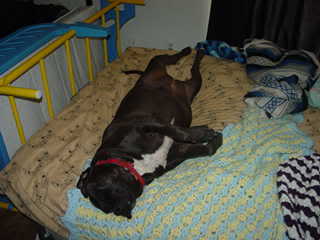 Name:  Cuttingground020.jpg
Views: 25
Size:  12.0 KB