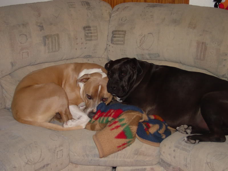 Name:  12Feb06005.jpg
Views: 21
Size:  52.8 KB