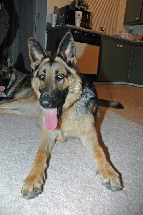 Name:  DSC_0008.jpg
Views: 24
Size:  80.5 KB