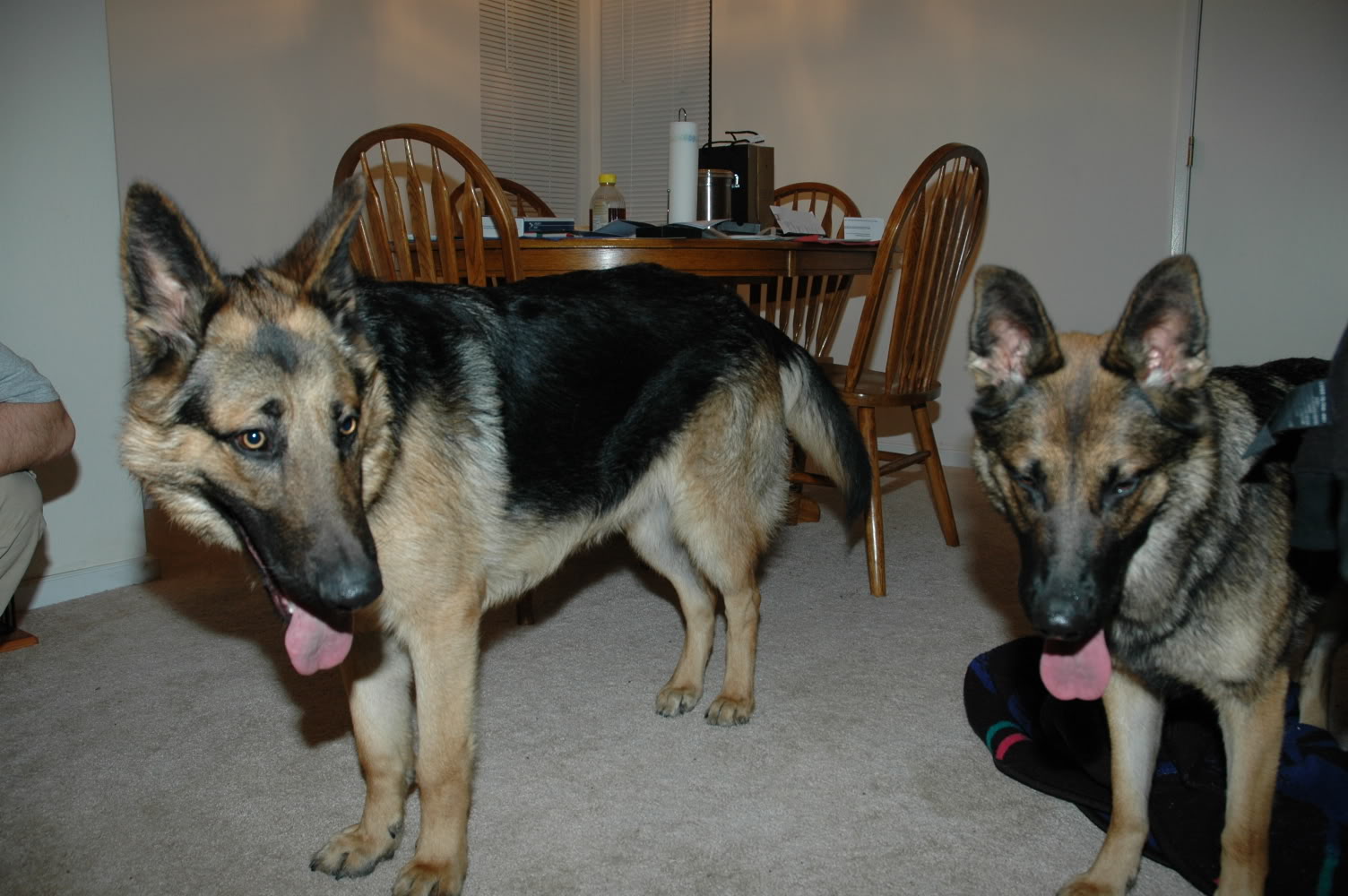 Name:  DSC_0031.jpg
Views: 23
Size:  215.0 KB