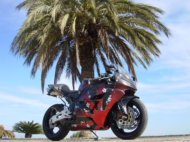 Name:  pic-of-day-03-08.jpg
Views: 16
Size:  86.2 KB