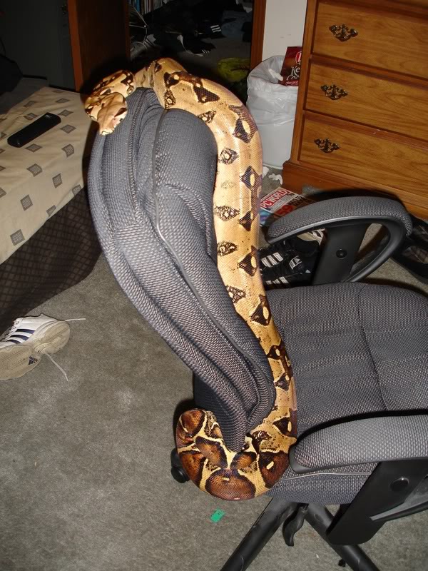 Name:  DSC02127-1.jpg
Views: 23
Size:  136.6 KB