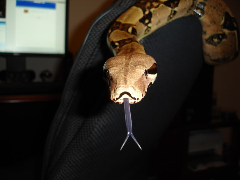 Name:  DSC02125.jpg
Views: 21
Size:  39.6 KB