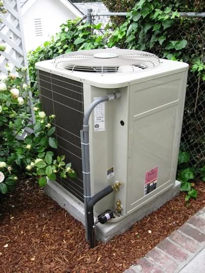 Name:  untitled.jpg
Views: 16
Size:  58.5 KB