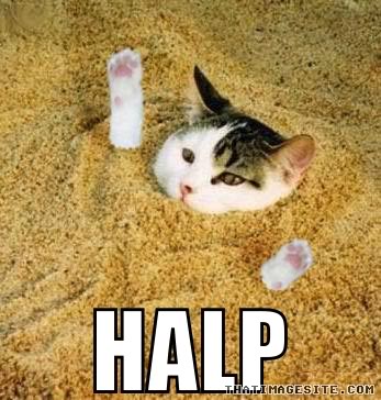 Name:  475_image.jpg
Views: 20
Size:  36.4 KB