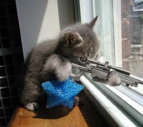 Name: hardcore20pussy.jpg
Views: 85
Size: 12.5 KB