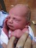 My wife had the baby this morning.-niko3.jpg