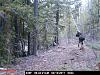 Game Camera-pict0034.jpg