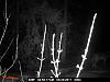 Game Camera-pict0004.jpg