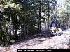 Game Camera-pict0021.jpg