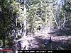Game Camera-pict0018.jpg