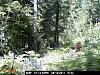 Game Camera-pict0134.jpg