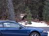 Game Camera-img_0433_small.jpg