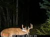 Game Camera-pict0078.jpg