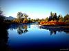 Fall pictures-2760867862_127f634663_o.jpg