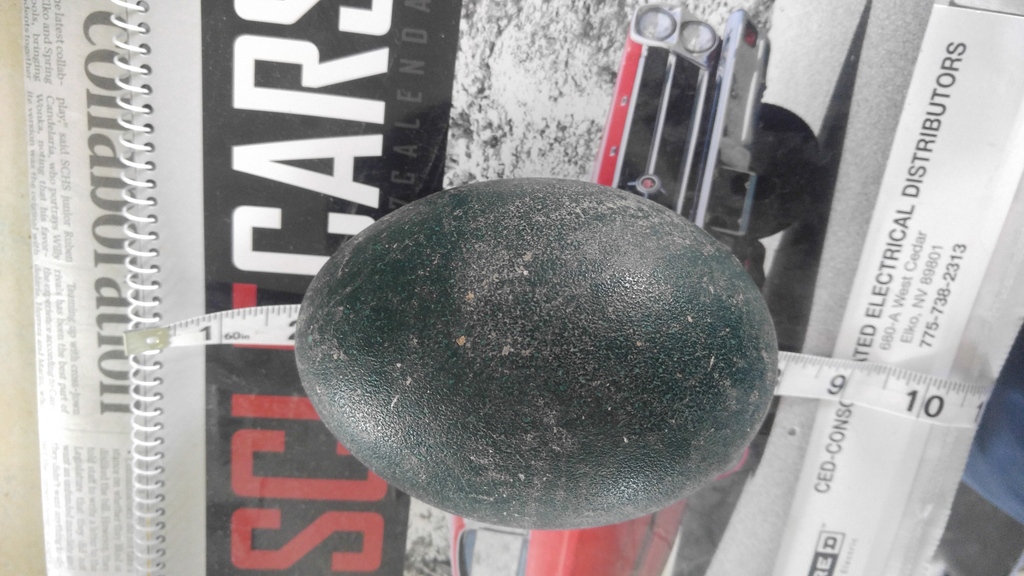 Name: Franny%20egg_zps4hlxnbup.jpg
Views: 102
Size: 279.6 KB