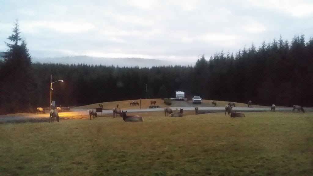 Name:  20131224_074101_zpsjs3sure0.jpg
Views: 38
Size:  41.8 KB