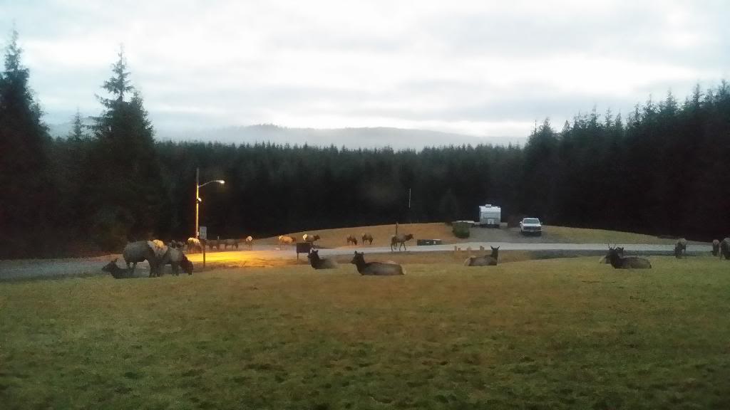 Name:  20131224_073845_zpsz8lqcpg2.jpg
Views: 39
Size:  47.3 KB