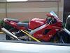 2001 ZX9 for sale-zx92.jpg