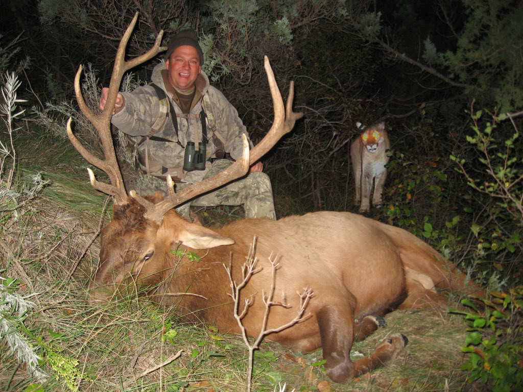 Name:  Elk.jpg
Views: 29
Size:  252.9 KB
