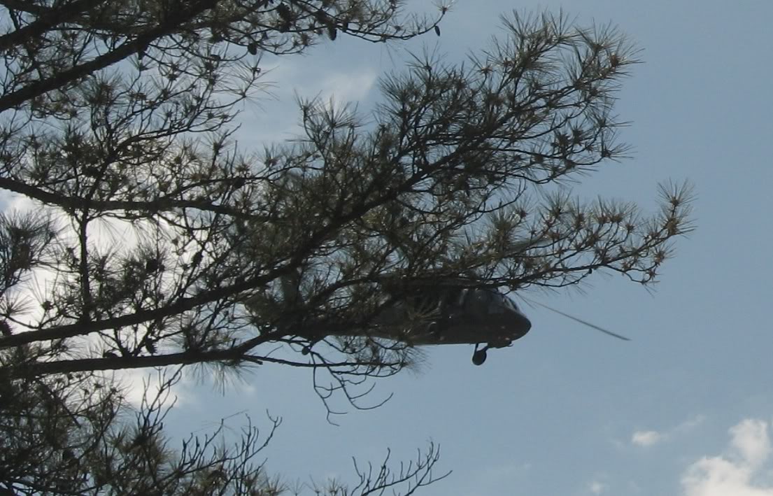 Name:  helicopter3.jpg
Views: 53
Size:  159.3 KB