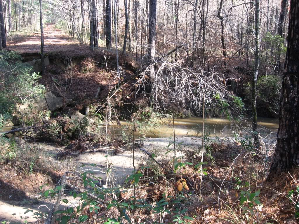 Name:  LittleCreek.jpg
Views: 40
Size:  341.0 KB
