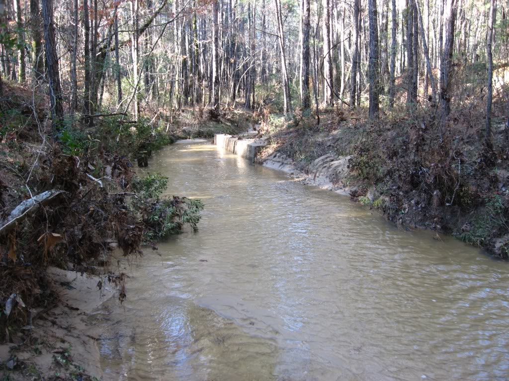 Name:  beavercreek4.jpg
Views: 36
Size:  246.1 KB