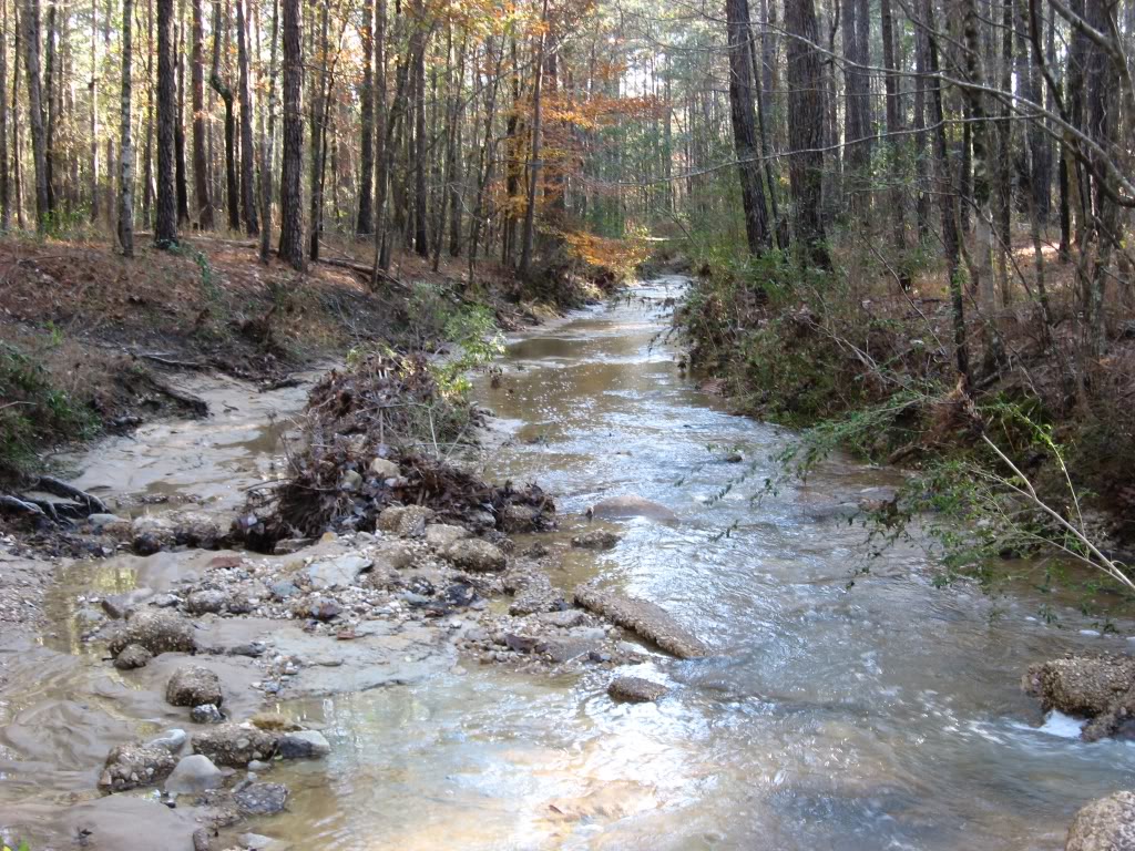Name:  lookingdownbeavercreek.jpg
Views: 50
Size:  255.3 KB