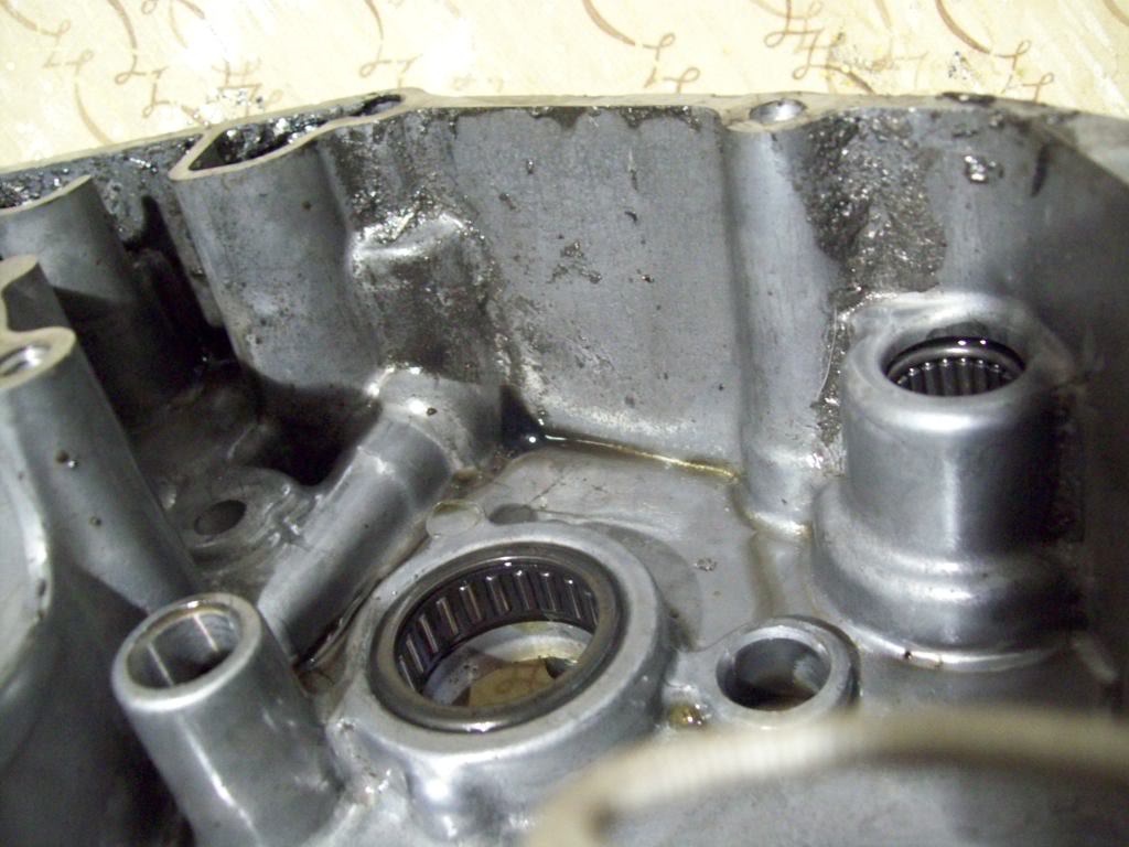 Name:  100_0657.jpg
Views: 69
Size:  103.6 KB