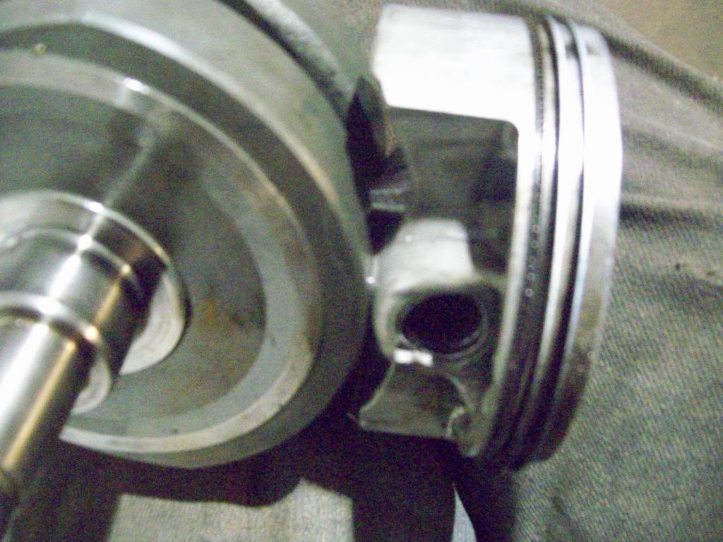 Name:  100_0683.jpg
Views: 67
Size:  111.4 KB