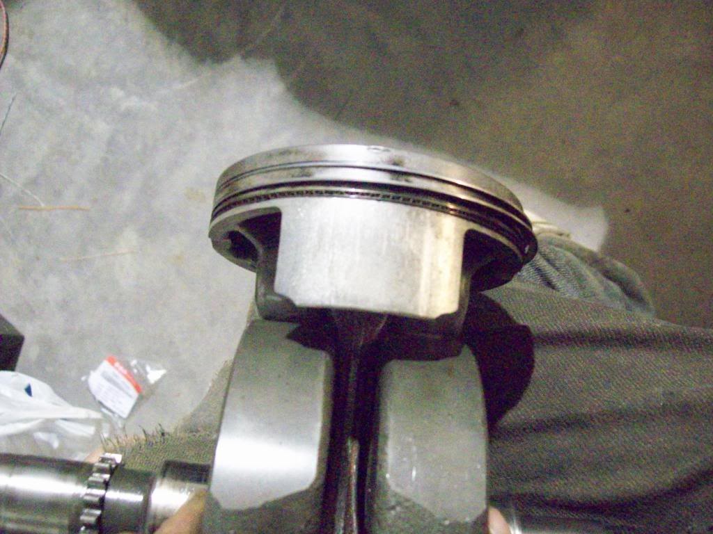 Name:  100_0684.jpg
Views: 48
Size:  109.4 KB