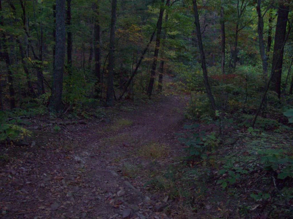 Name:  100_0629.jpg
Views: 78
Size:  121.3 KB